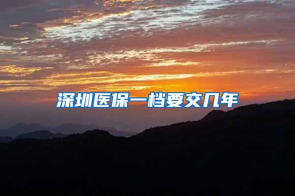 深圳医保一档要交几年