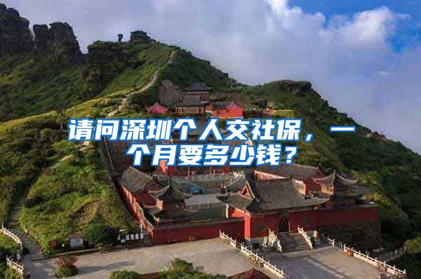 请问深圳个人交社保，一个月要多少钱？