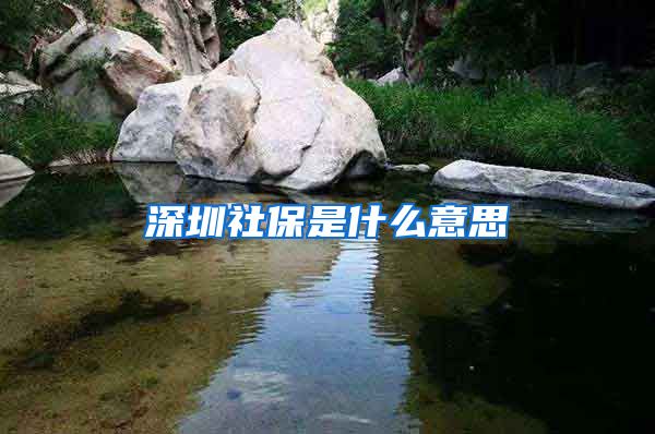 深圳社保是什么意思