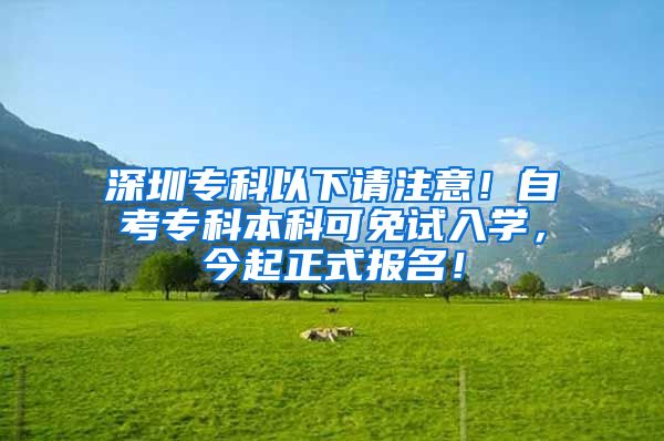 深圳专科以下请注意！自考专科本科可免试入学，今起正式报名！