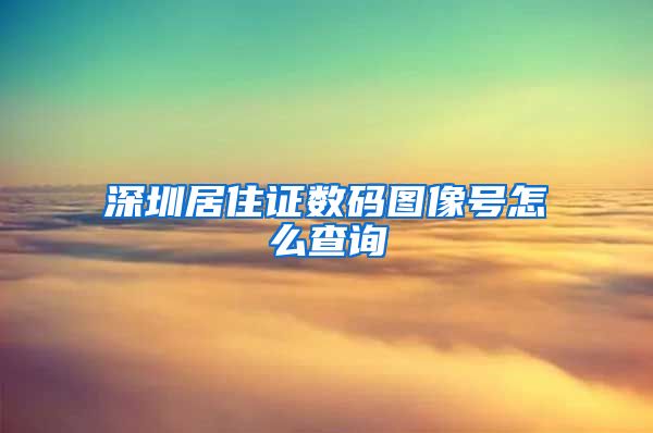 深圳居住证数码图像号怎么查询