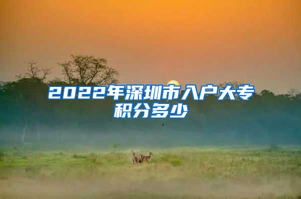 2022年深圳市入户大专积分多少