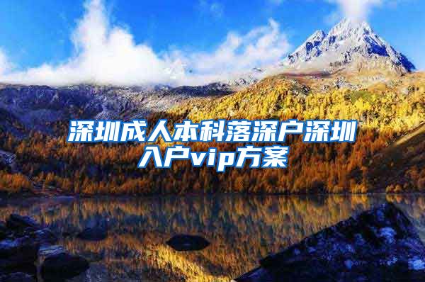 深圳成人本科落深户深圳入户vip方案
