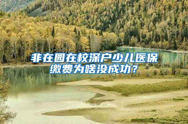 非在园在校深户少儿医保缴费为啥没成功？