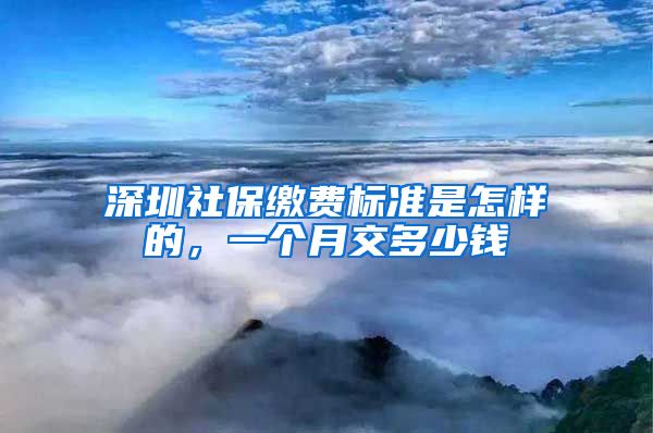 深圳社保缴费标准是怎样的，一个月交多少钱