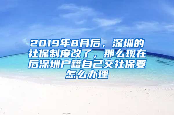 2019年8月后，深圳的社保制度改了，那么现在后深圳户籍自己交社保要怎么办理