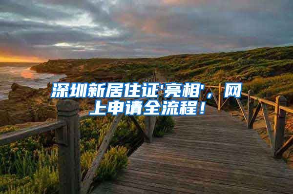 深圳新居住证'亮相'，网上申请全流程！