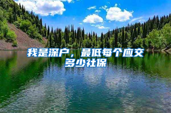 我是深户，最低每个应交多少社保