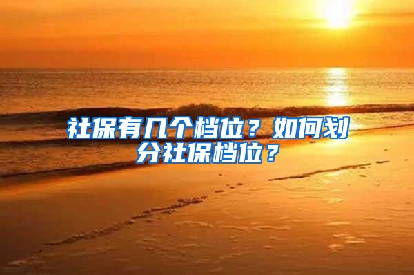 社保有几个档位？如何划分社保档位？