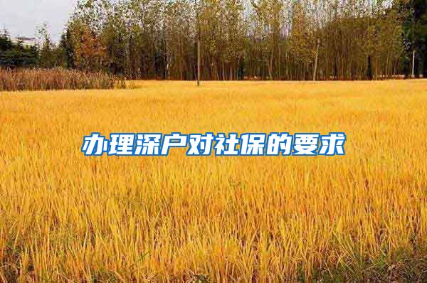 办理深户对社保的要求