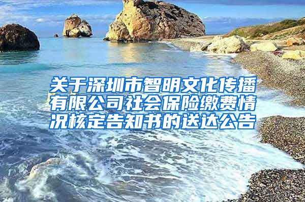 关于深圳市智明文化传播有限公司社会保险缴费情况核定告知书的送达公告