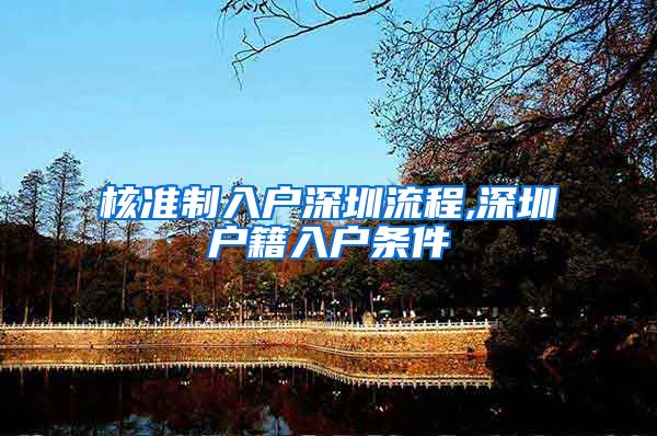 核准制入户深圳流程,深圳户籍入户条件