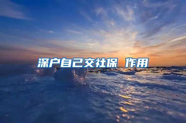 深户自己交社保 作用