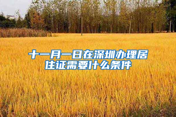 十一月一日在深圳办理居住证需要什么条件
