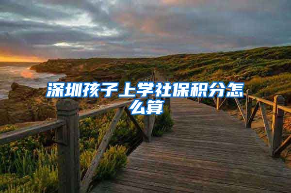 深圳孩子上学社保积分怎么算