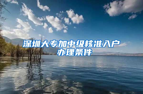 深圳大专加中级核准入户 办理条件