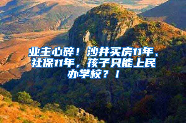 业主心碎！沙井买房11年、社保11年，孩子只能上民办学校？！