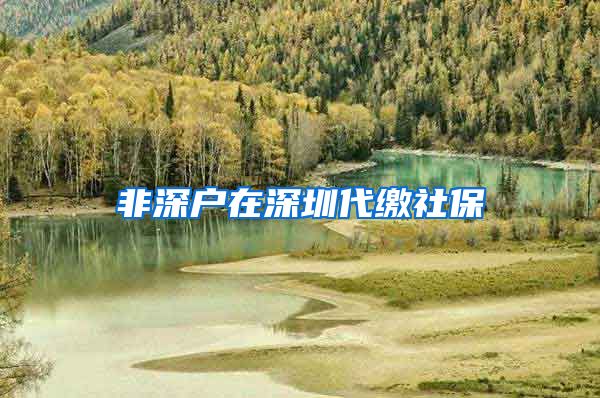 非深户在深圳代缴社保
