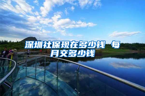 深圳社保现在多少钱 每月交多少钱