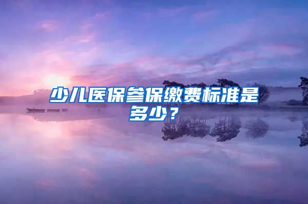 少儿医保参保缴费标准是多少？