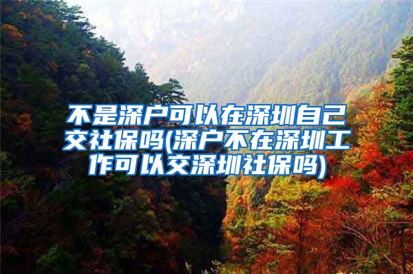 不是深户可以在深圳自己交社保吗(深户不在深圳工作可以交深圳社保吗)