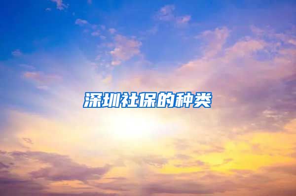 深圳社保的种类