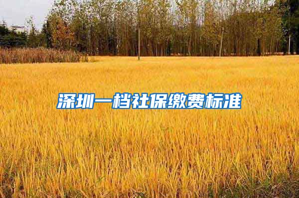 深圳一档社保缴费标准