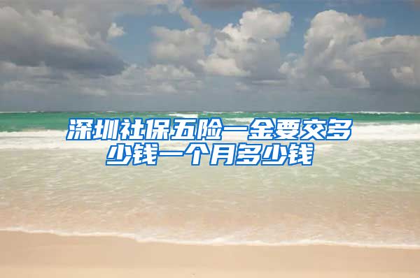 深圳社保五险一金要交多少钱一个月多少钱
