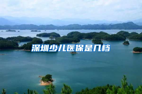 深圳少儿医保是几档