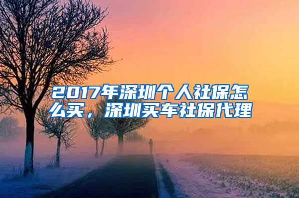 2017年深圳个人社保怎么买，深圳买车社保代理