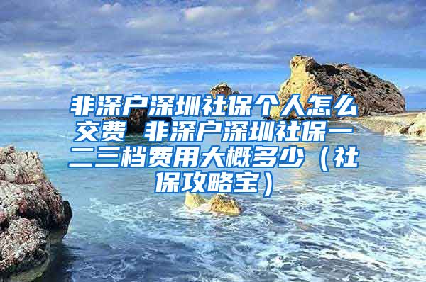 非深户深圳社保个人怎么交费 非深户深圳社保一二三档费用大概多少（社保攻略宝）