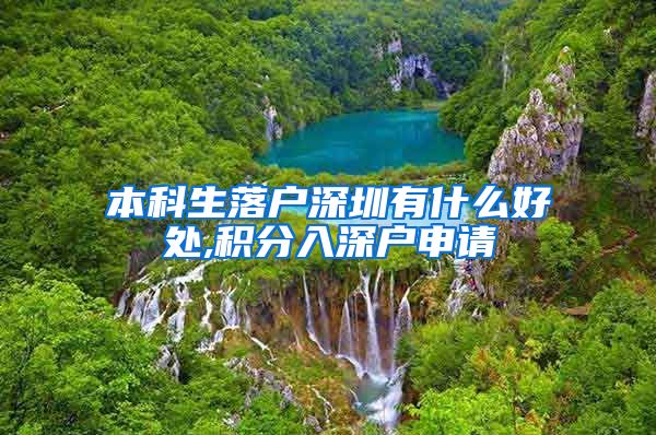 本科生落户深圳有什么好处,积分入深户申请