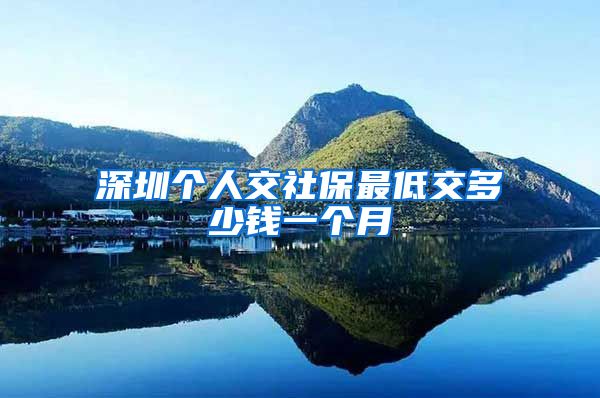 深圳个人交社保最低交多少钱一个月