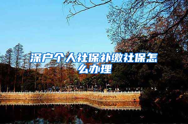 深户个人社保补缴社保怎么办理