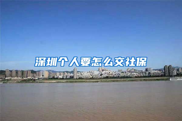 深圳个人要怎么交社保