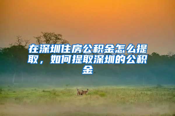 在深圳住房公积金怎么提取，如何提取深圳的公积金