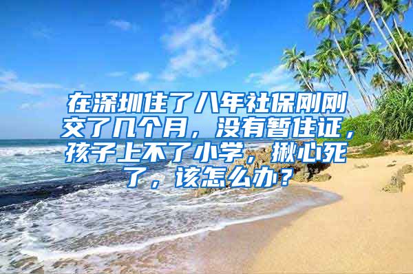 在深圳住了八年社保刚刚交了几个月，没有暂住证，孩子上不了小学，揪心死了，该怎么办？