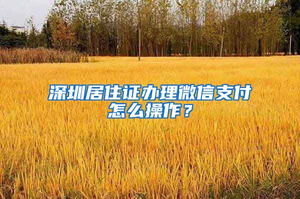 深圳居住证办理微信支付怎么操作？