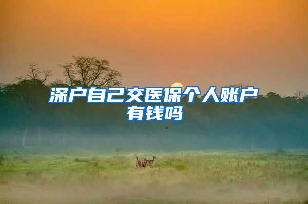 深户自己交医保个人账户有钱吗