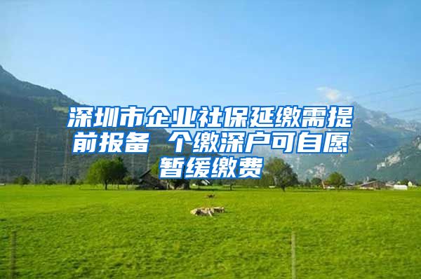 深圳市企业社保延缴需提前报备 个缴深户可自愿暂缓缴费