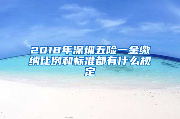 2018年深圳五险一金缴纳比例和标准都有什么规定