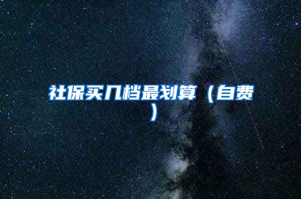 社保买几档最划算（自费）