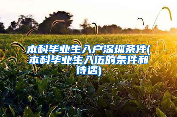 本科毕业生入户深圳条件(本科毕业生入伍的条件和待遇)