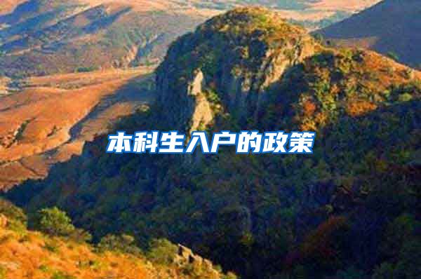 本科生入户的政策