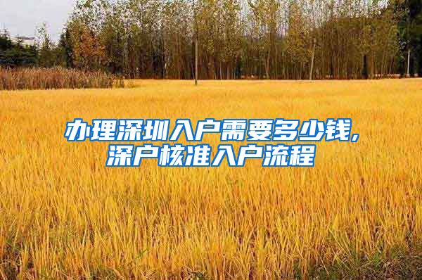 办理深圳入户需要多少钱,深户核准入户流程