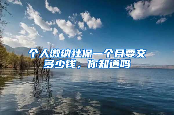 个人缴纳社保一个月要交多少钱，你知道吗