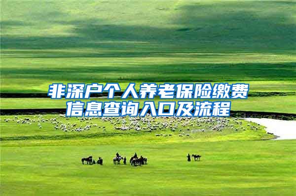非深户个人养老保险缴费信息查询入口及流程