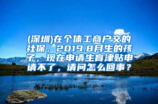 (深圳)在个体工商户交的社保，2019.8月生的孩子，现在申请生育津贴申请不了，请问怎么回事？
