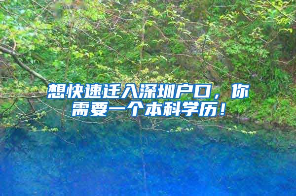 想快速迁入深圳户口，你需要一个本科学历！