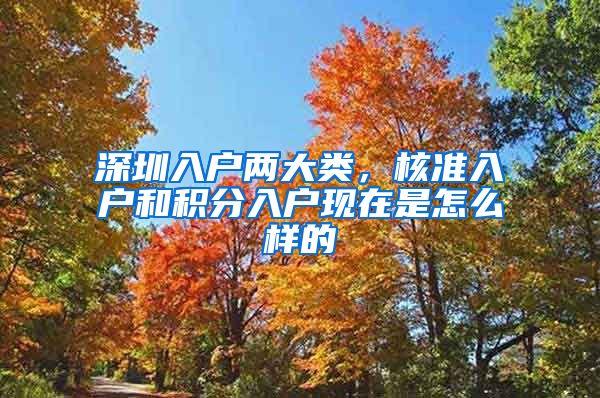 深圳入户两大类，核准入户和积分入户现在是怎么样的